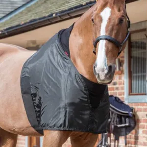 Lemieux Anti Rub Bib