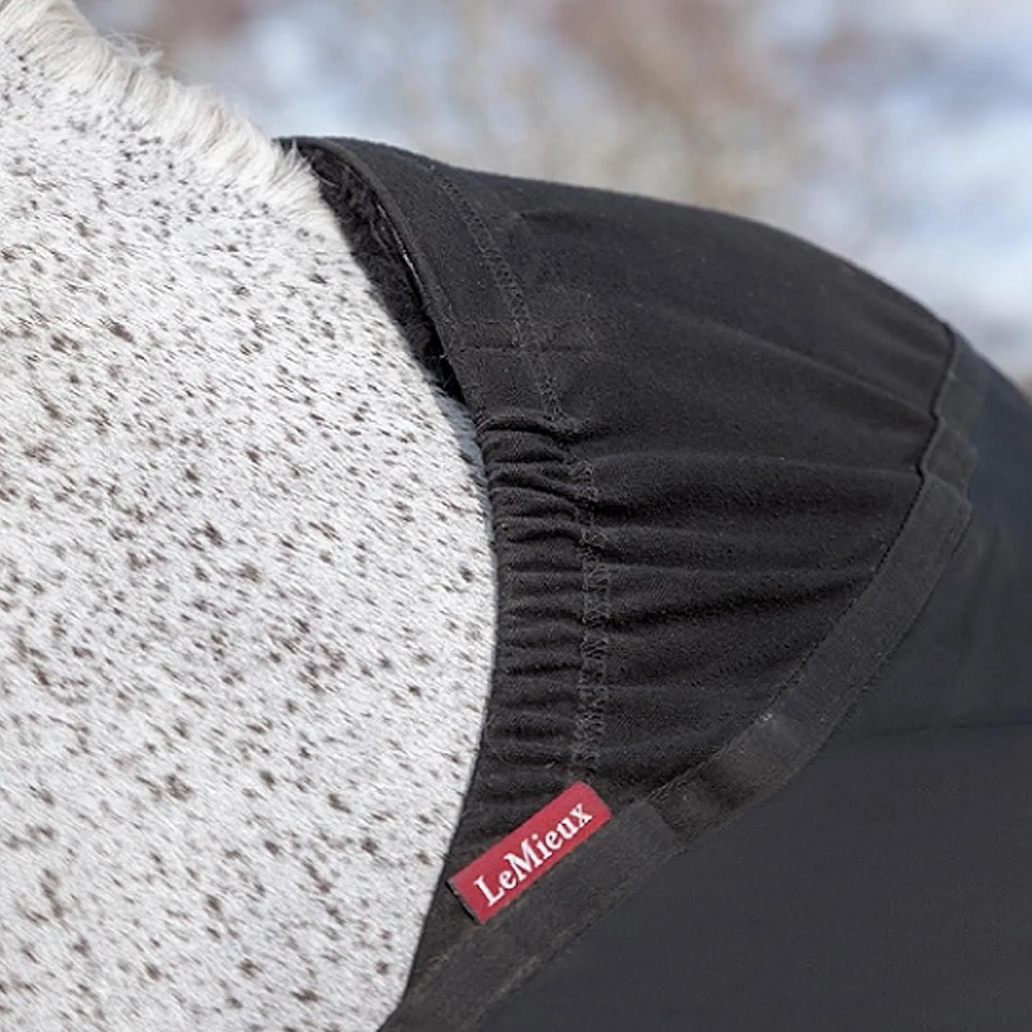 Lemieux Anti Rub Bib